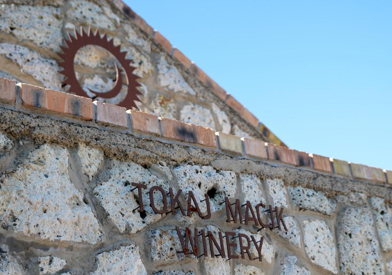 Penzion Tokaj Macik Winery B&B Mala Trna Exteriér fotografie