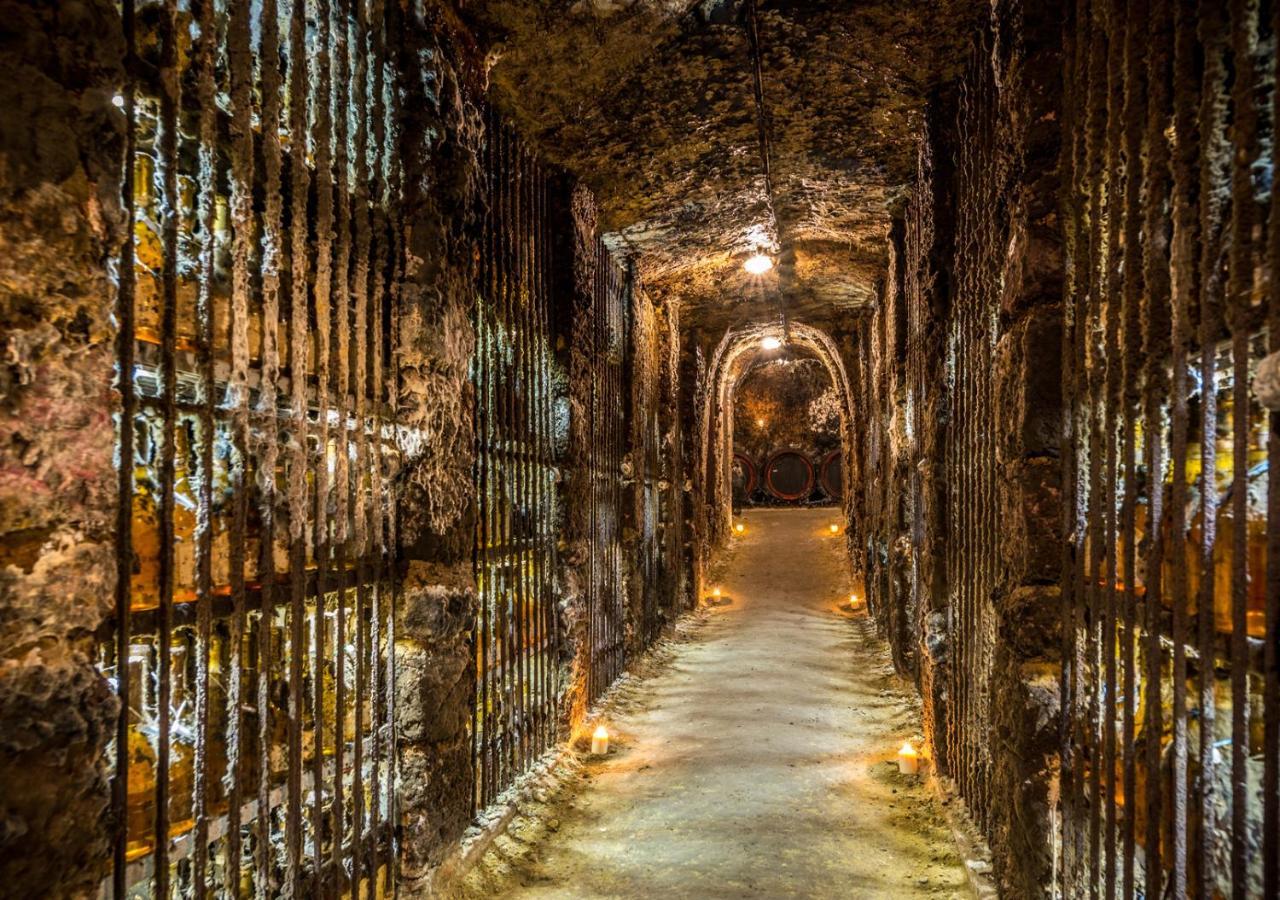 Penzion Tokaj Macik Winery B&B Mala Trna Exteriér fotografie