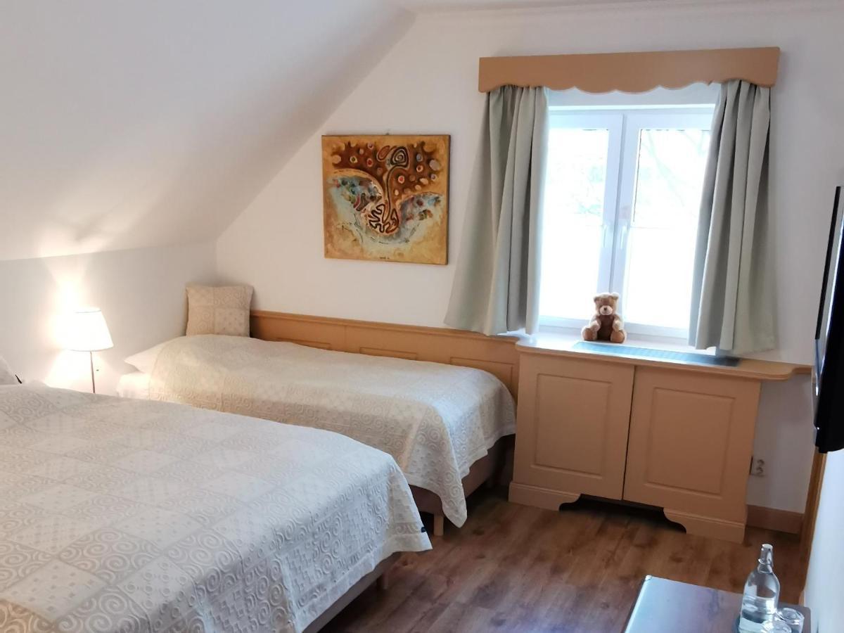 Penzion Tokaj Macik Winery B&B Mala Trna Exteriér fotografie